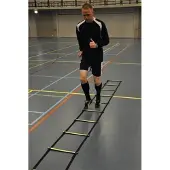 Sportec trainingsladder, incl. zuignap 4 meter / trede 50 x 40 cm