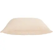 vidaXL Hoofdkussen 2 st 80 x 80 cm Alle seizoenen Kapokvezel Beige