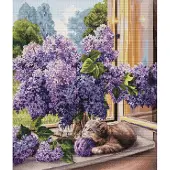Luca S The Dreamer borduren (pakket) BU5015