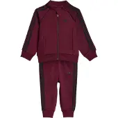 Adidas Originals Joggingpak 'SUPERSTAR' bourgogne / zwart