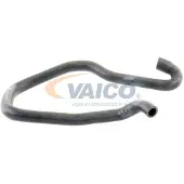 VAICO V20-1702 Radiateurslang