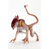 NECA Aliens Actiefiguur Panther Alien (Kenner Tribute), 23 cm, NECA51715