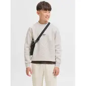 Jack & Jones Junior Sweatshirt 'JJESOHO' lichtgrijs / zwart