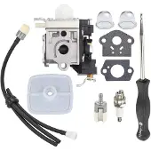 Torribaly PB250 Carburateur voor PB250LN PB-250 ES250 Leaf Blo