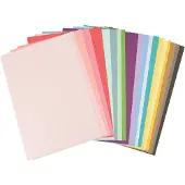 SIZZIX Accessoire kartonnen vellen - A4 - 80 stuks