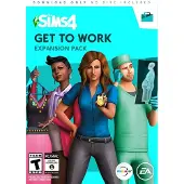 De Sims 4 Aan het Werk
