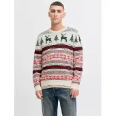 Jack & Jones Trui 'XMAS NOEL' spar / pastelgroen / bloedrood / offwhite