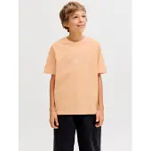 Jack & Jones Junior Shirt 'JJESoho' oranje