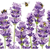 Ppd - Lunch servetten - Bees & Lavender