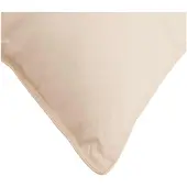 vidaXL Hoofdkussen 2 st 40 x 40 cm Alle seizoenen Kapokvezel Beige