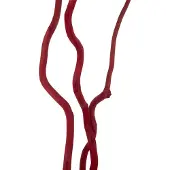 J-Line decoratie tak Droogbloemen - riet - rood - large - set van 3