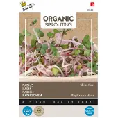 Buzzy - Seeds sprouting radijs china rose 30 gram
