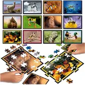 Educa Battle Nature Puzzels Set 12 x 42 Stukjes