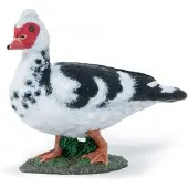 Papo - Barbary Duck Figuri