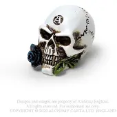 Alchemy - Alchemist Skull Beeld/figuur - Creme