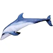 Gaby The Bottlenoise Dolphin Giant Pillow Grijs