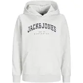 Jack & Jones Junior Sweatshirt 'JJECaleb' lichtgrijs / zwart / wit