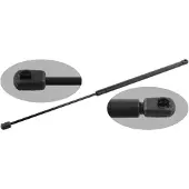 FEBI BILSTEIN 29895 Gasveer achterklep