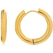 Luxenter Oorbellen 'Amyck' goud