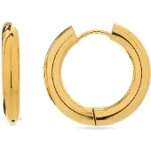 Luxenter Oorbellen 'Amyck' goud
