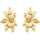 Luxenter Oorbellen 'Aucell' goud