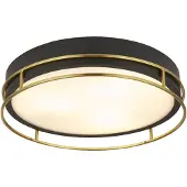 Searchlight Plafondlamp Phoenix, dimbaar, zwart, Woon-/ Eetkamer, metaal, Plafondlamp badkamer