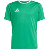 Adidas Functioneel shirt 'ENT26' groen / wit