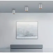 Paul Neuhaus Plafond opbouwspot Pure Point Ø 6cm - wit