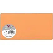 Clairefontaine Stuifmeel van Card DL, clementine