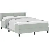 vidaXL Boxspring bed met hoofdeinde Lichtgrijs 200 x 160 cm Fluweel