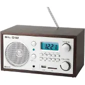 BLOW Radio AM (FM, AM, Bluetooth), Radio, Bruin