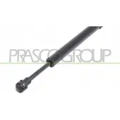 PRASCO ME8209005 Gasveer motorkap