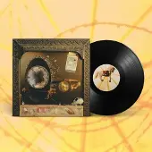Konkurrent Wishy - Nature's Pill (LP)