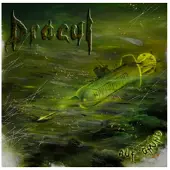 Cd Auf Grund