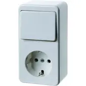 Hager Berker Combischakelaar Contactdoos Opbouw Glans Poolwit - 61479649