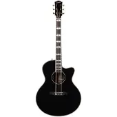 Godin Connaisseur MJ BLK RW elektrisch-akoestische westerngitaar met koffer