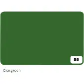 Folia Paper Fotokarton Folia 2-zijdig 50x70cm 300gr nr55 grasgroen | 10 stuks