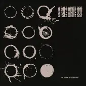 Periphery CD - A Pale White Dot - voor Geen - standaard | Maat Standard