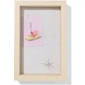 HEMA Herinneringenbox 23x15x5cm Hout (hout)