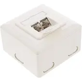 InLine Cat.6 aansluitdoos, AP/UP 2x RJ45 female, RAL9010, wit, verticaal