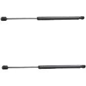 RIDEX 219G3150 Gasveer achterklep