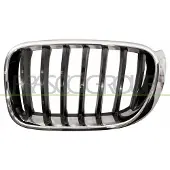 PRASCO BM8062004 Radiator grill