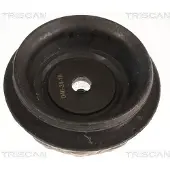 TRISCAN 8500 43939 Veerpootlager