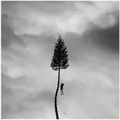 Universal Music A Black Mile to the Surface (LP)