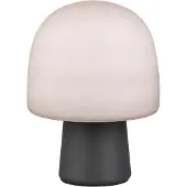TRIO LED Tafellamp | Steen | Rond | Zwart | IP20 | Lighting