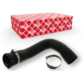 FEBI BILSTEIN 49138 Radiateurslang