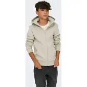 Only & Sons Junior Sweatvest 'OSJCERES' beige