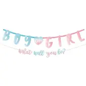 Amscan 2 Letterslingers Gender Reveal 'Boy Or Girl'