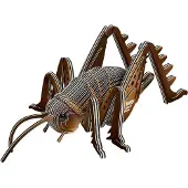 Eugy 3D Puzzel - Sprinkhaan - Wilde Dieren - Duurzaam - Verzamel Ze Allemaal - 6 Jaar