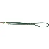 Trixie hondenriem pure verstelbaar leer saliegroen M-l 200x2 cm